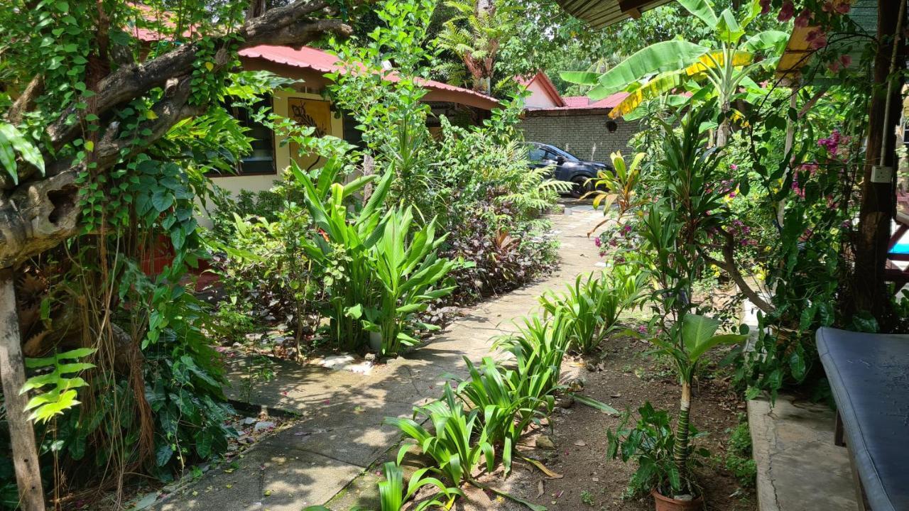 Gecko Guesthouse Pantai Cenang  Kültér fotó
