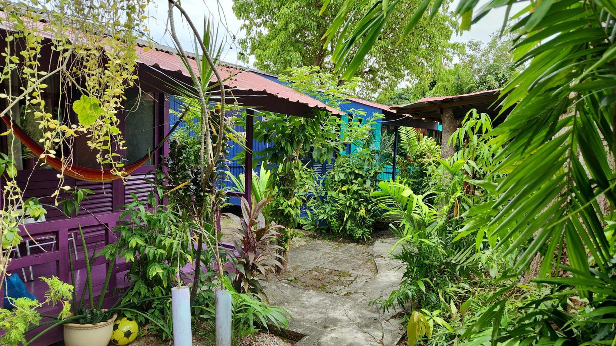 Gecko Guesthouse Pantai Cenang  Kültér fotó