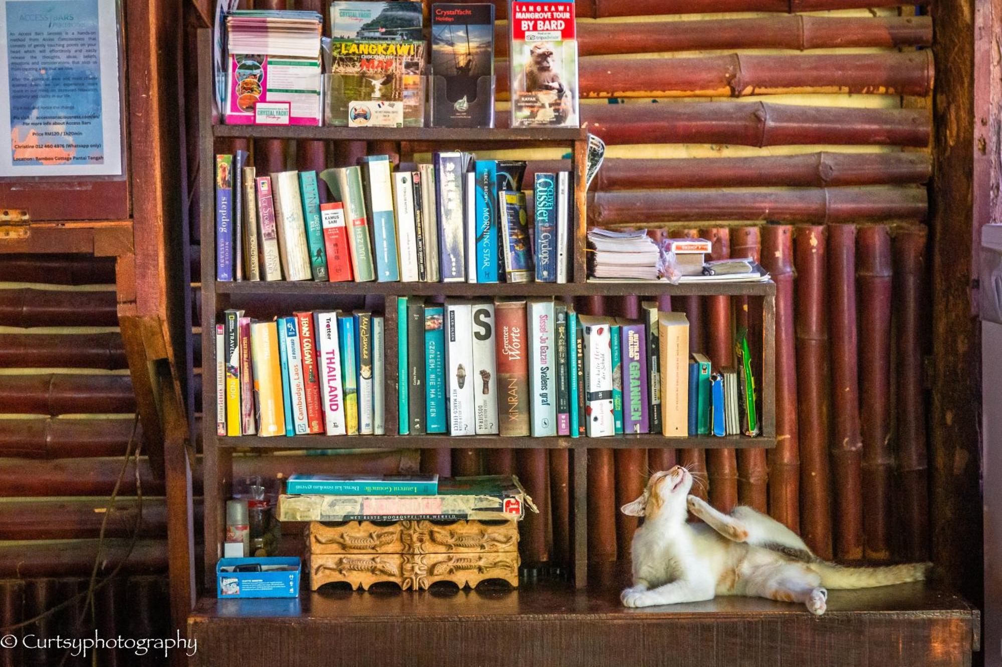 Gecko Guesthouse Pantai Cenang  Kültér fotó