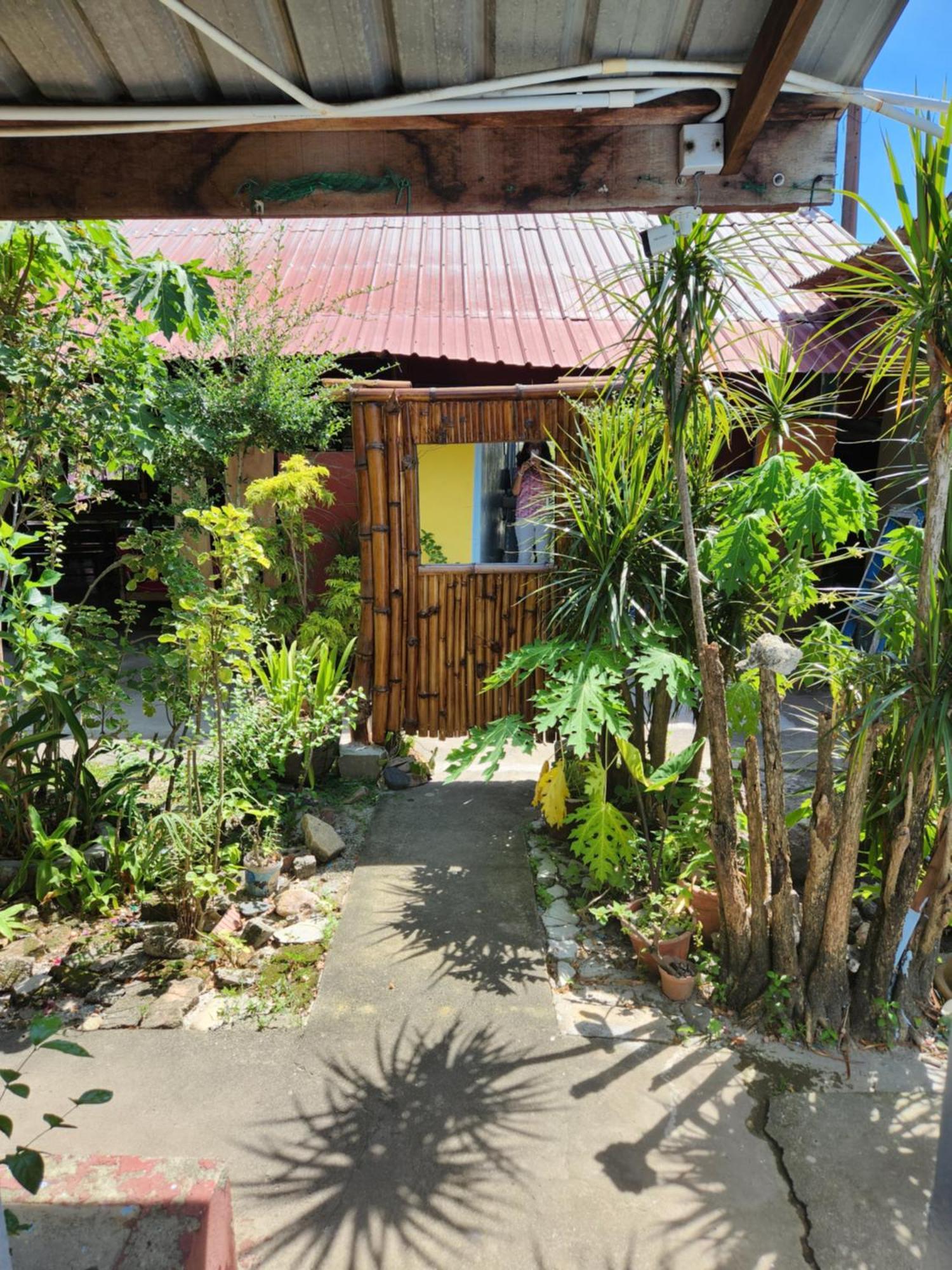 Gecko Guesthouse Pantai Cenang  Kültér fotó