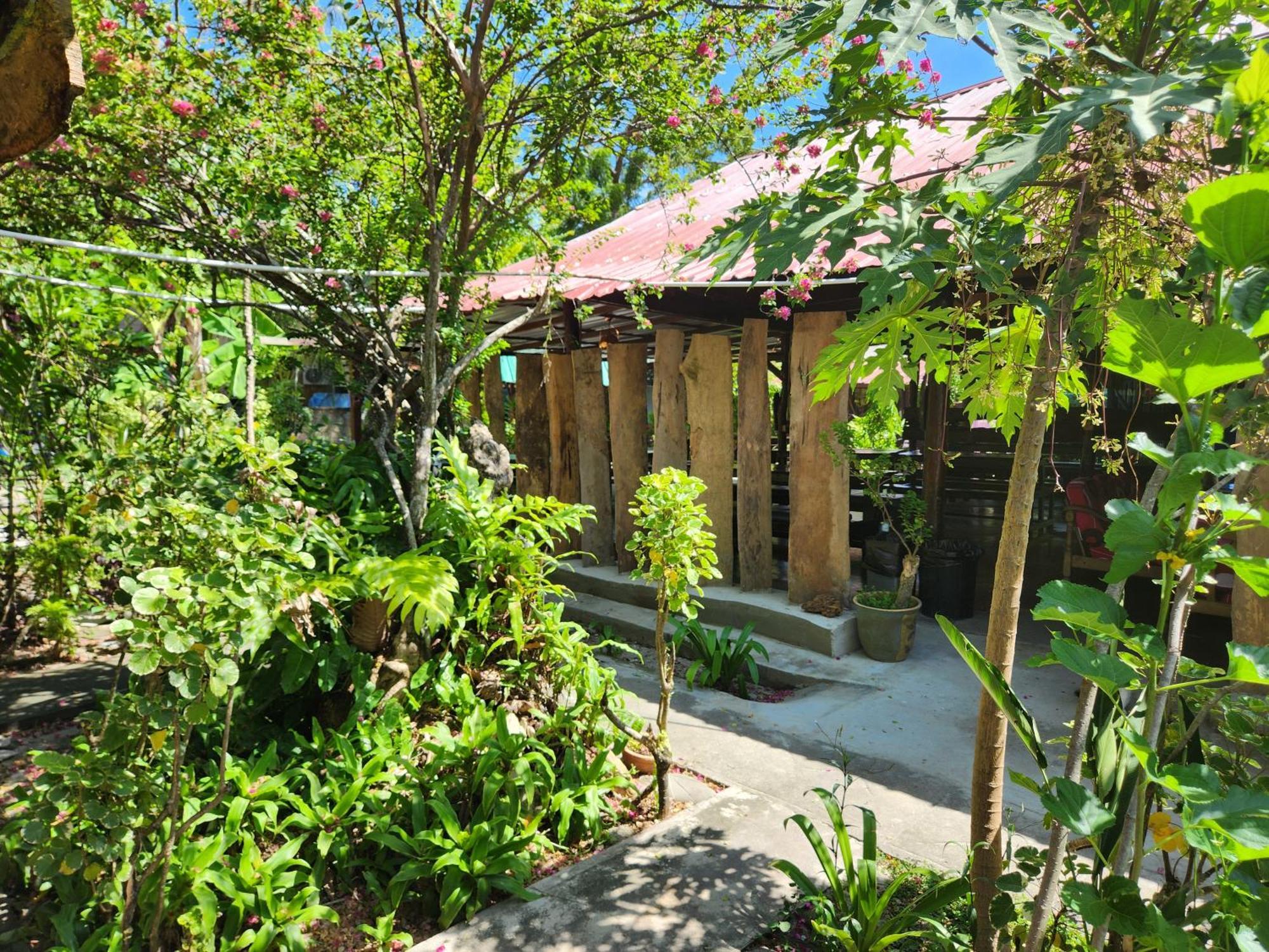 Gecko Guesthouse Pantai Cenang  Kültér fotó