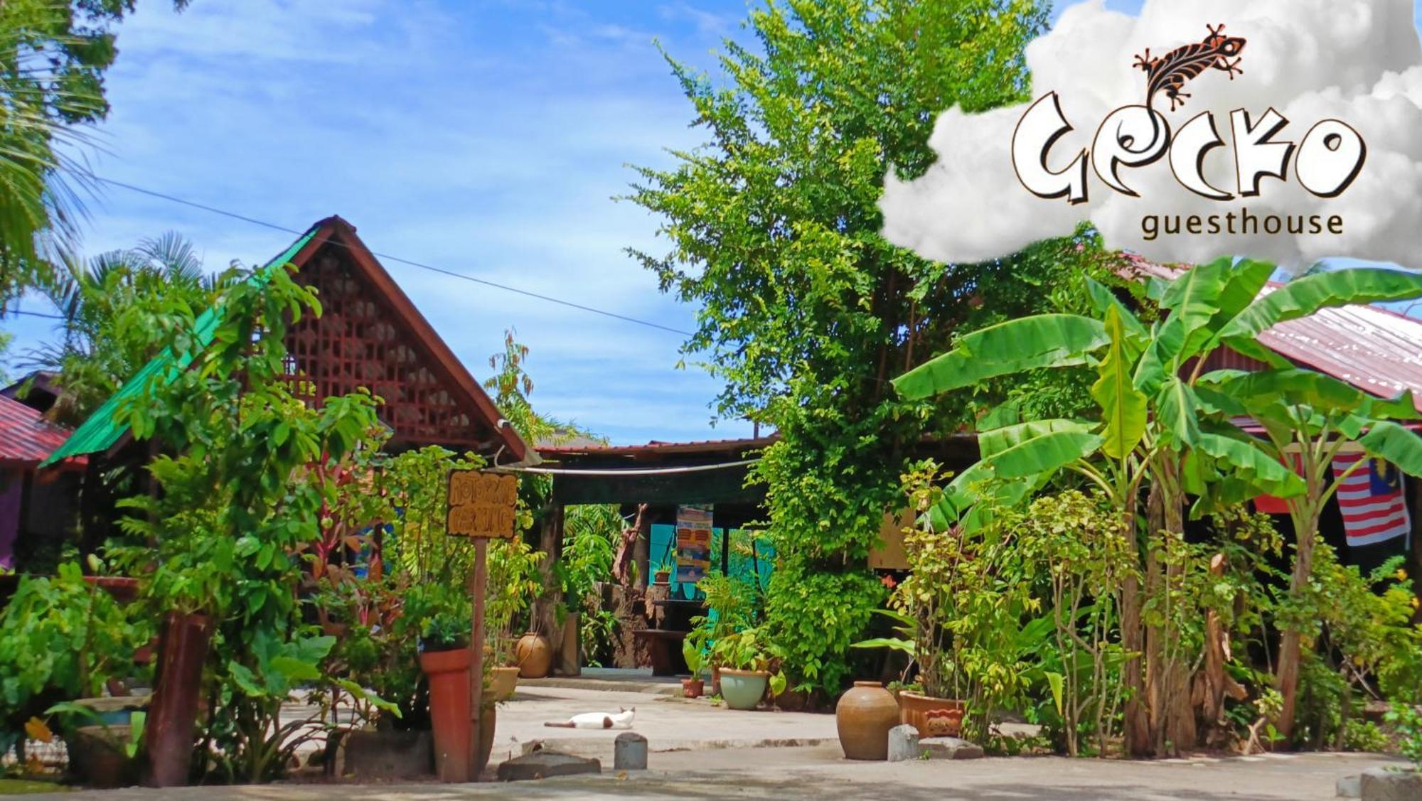 Gecko Guesthouse Pantai Cenang  Kültér fotó