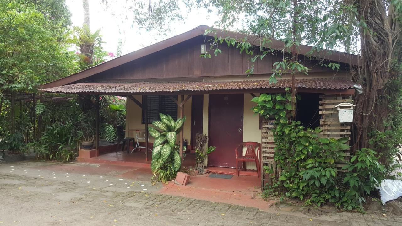 Gecko Guesthouse Pantai Cenang  Kültér fotó